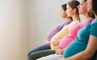 Kevesebb terhes, de több veszélyeztetett