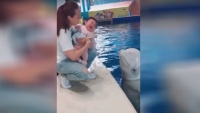 Könnyekben tört ki a baba, miután kapott egy delfinpuszit
