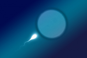 5 érdekesség a spermáról, amit valószínűleg Ön sem tudott