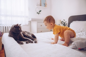 Ha jön a baba, a cicának mennie kell?