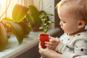 Helló bébi, pápá növények? 5 óvintézkedés, amit megtehetsz a szobanövények és a baba biztonságáért