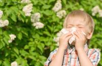 Mikor gondoljunk pollenallergiára?