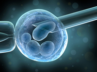 Selejtezhető embriók