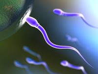Mi lendíti mozgásba a spermiumokat?